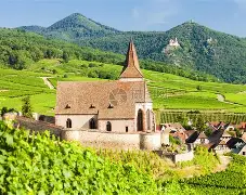 塞维利亚主教练下课